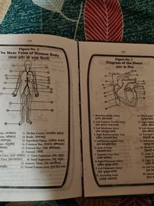 Medical Dictionary