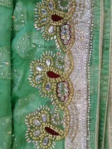 Green Polka Dot &amp; Embroidered Saree