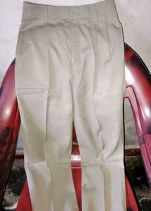 Beige Pleated Pants