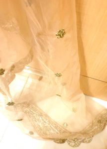 Beautiful Delicate Embroidered Dupatta