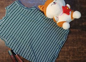 Striped Green Tank Top
