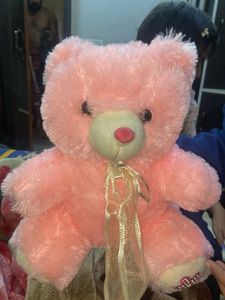 Pink Teddy Bear