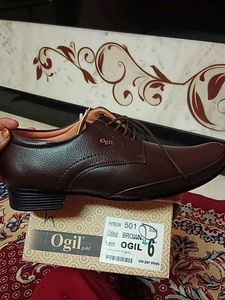 Ogil Gold Shoes Neu