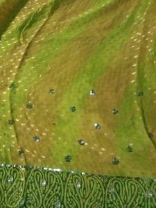 Sari With Blouse