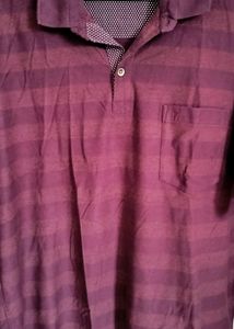 Mens Allen Solly Collar Tshirt With Slight Stripes