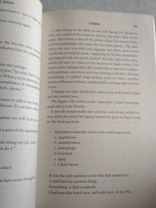 Novel