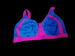 Blue & Pink Sports Bra