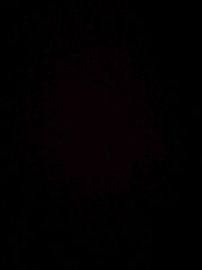 Test Rvpv22