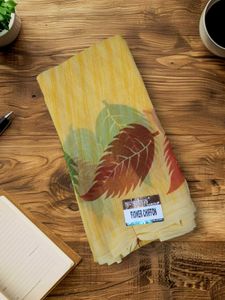 Chiffon Saree
