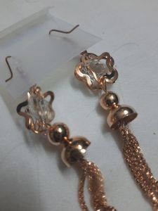New long Earring