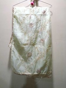 Pastel Green Dupatta With Zari Work💚