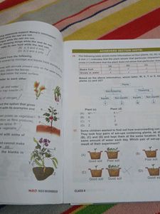 Nso Book For Kids 4 Class