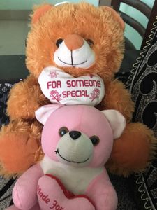 Combo Pink and Brown Soft Tou