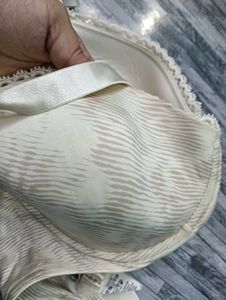 36,38dd Size Calvin 💚