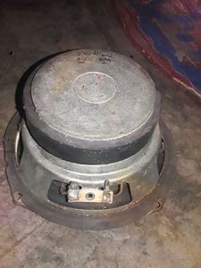 Bass Speaker