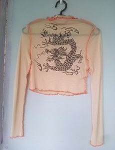 Sheer Dragon Mesh Top