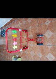 Kids Folding Trally