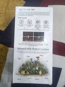 Paradyes Hazel Brown Hair Tint