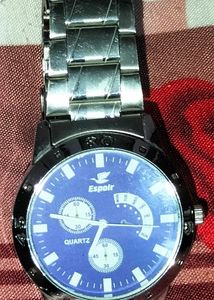 Stainless Steel Male Watch