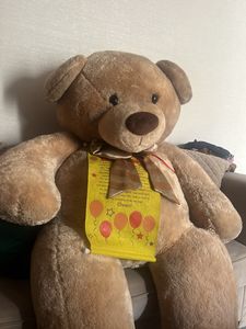 Big Size Teddy
