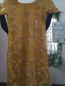 Elegant Gold Embroidered Salwar Kameez