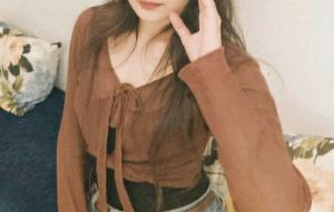 Brown Sheer Pull Over