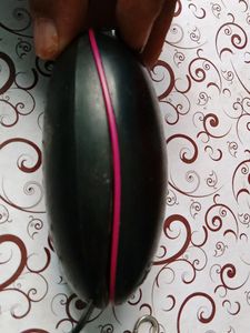 Lovense Ohmibod
