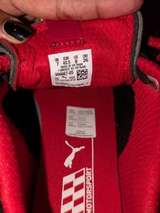 Ferrari Rdg Cat Lace-Up MOTORSPORT Shoes