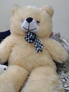 Cute Cream Teddy Bear