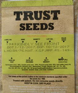 Antirrhinum Mixed Seeds
