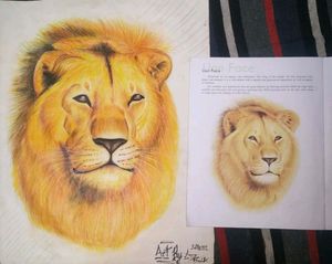 Color Pencil Sketch