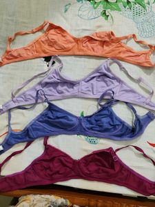 Bra (Each One ₹100)
