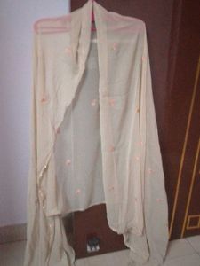 Elegant Embroidered Dupatta