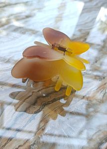 Beautiful Butterfly Clip  ! 🦋