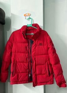 Dickies Red Puffer Jacket
