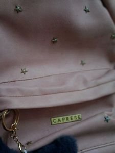 Caprese Pink Backpack