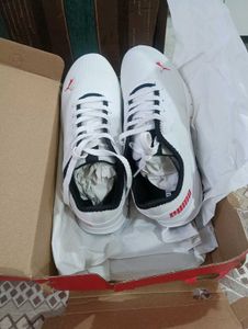 PUMA Shoes