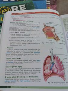 Class 10 CBSE Biology Reference Textbook