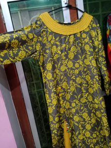 Combo Of 2 Kurti.