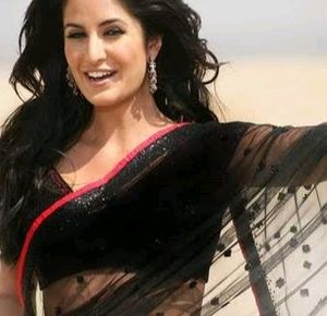 Bollywood Inspired Net Sequin Saree