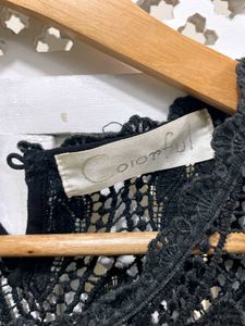 Vintage Black Rose Belle