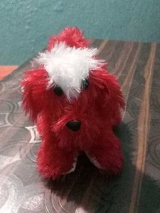 Baby Dog