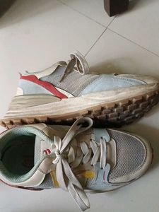 Fancy Shoes