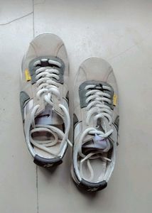 Stylish Casual Shoes