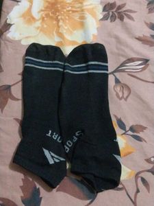 15 Day Used