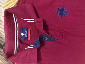 Netplay Burgundy Polo Shirt