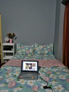 Comforter 1 Bedsheet 2 Pillow Cover Comb