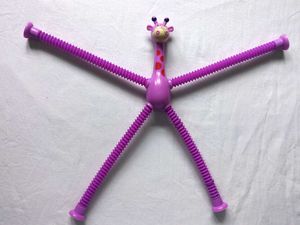 Fidget Pipe Pop Giraffe Toy