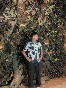 Patterned Button-Down Shirt