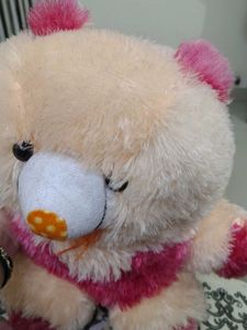 Cute Plush Teddy Bear